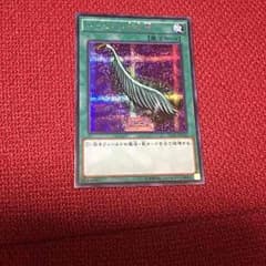 ハーピィの羽根箒のサムネイル