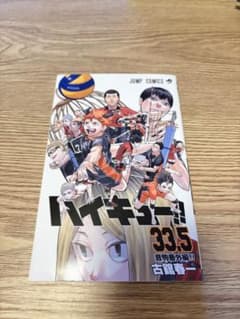 하이큐!! 33.5권 특장판