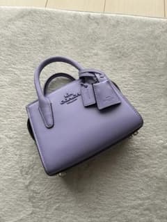 COACH アンドレア ミニ キャリーオール ☆希少色・iPhone15対応 - メルカリ