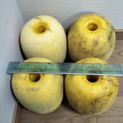 中古　フロート　4つのサムネイル