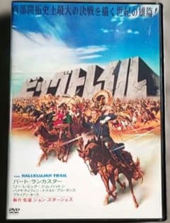 ビッグトレイル　D13　【在庫整理】まとめ買いのサムネイル