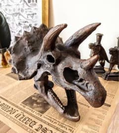 トリケラトプス インテリア オブジェ 雑貨 恐竜の化石 ジュラシック