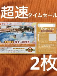 超速　ネコポス　春秋限定　サマーランド　プール　チケット　フリーパス　2枚bfのサムネイル