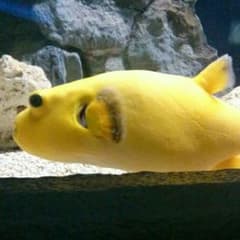 みーちゃんさんお取り置き8までのサムネイル