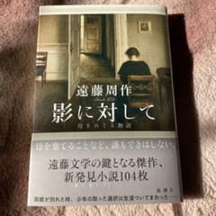 影に対して 母をめぐる物語のサムネイル