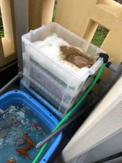 ろ過装置のサムネイル