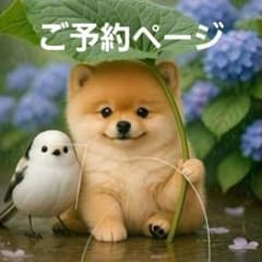 シマエナガとポメラニアン、柴犬、チワワ、トイプードル、マルチーズ