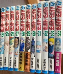 ハンター×ハンター = HUNTER×HUNTER 24巻〜34巻のサムネイル