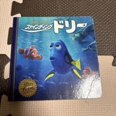 파인딩 돌리