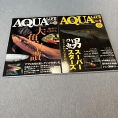 月刊アクアライフ 2冊セット 巨大魚のサムネイル