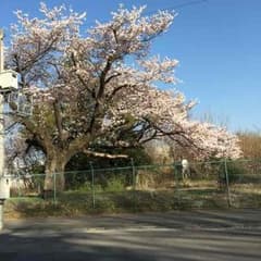 値下げ中様専用☆のサムネイル