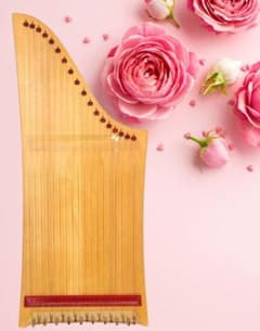 Hermann Veeh ヘルマンハープ 18弦 ドイツ Hermann Veeh ヘルマンハープ 18弦 ドイツ - メルカリ