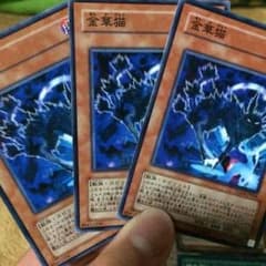 遊戯王 金華猫のサムネイル