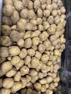 北海道産　訳あり　とうや　10キロのサムネイル