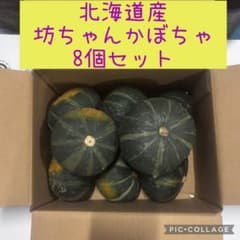北海道産 坊ちゃんかぼちゃ 8個セットのサムネイル