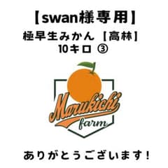 【swan様専用】極早生高林10キロ ③のサムネイル