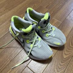 Nike ランニングシューズ グレー/イエロー27cmのサムネイル