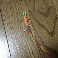 【ノウハウさん専用】ラスタヤモリのサムネイル