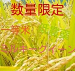 令和7年産！ミルキークイーン10kg！のサムネイル