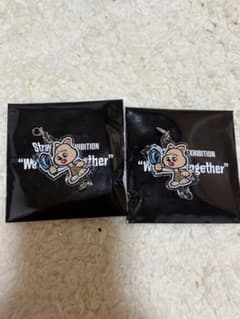 straykids ハンジソン ハンクオッカ maniac ラゲッジタグ | Shop at