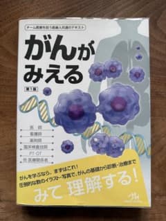 【 がんがみえる 】 第1版のサムネイル