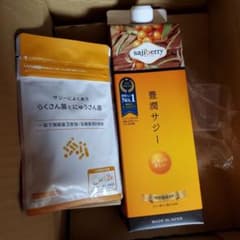 豊潤サジー 1000ml らくさん菌とにゅうさん菌セット - メルカリ