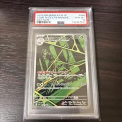 psa10】ロケット団のワナイダー AR ロケット団の栄光 おまけ付き
