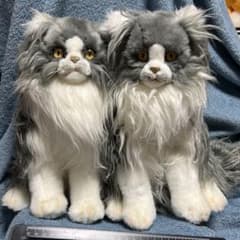 ペルシャネコ 60 CAT ペルシャ猫　ぬいぐるみ　ハンサ　2匹　hansa ペルシャネコ 60 CAT ペルシャ猫 ぬいぐるみ ハンサ 2匹 hansa - メルカリ