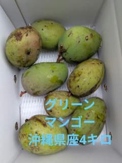 グリーンマンゴー沖縄県産4キロ期間限定 - メルカリ