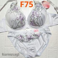 F75 L 新品未使用 ブラショーツセット 957301 サックス フラワー刺繍