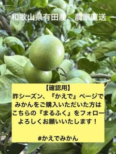 【確認用】#かえでみかんのサムネイル