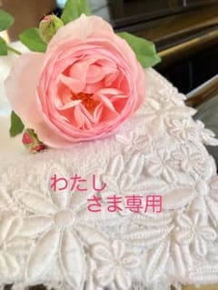 わたし　さま専用ですのサムネイル