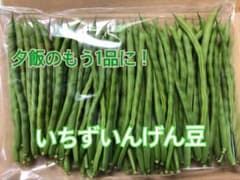 いちずいんげん　約600gのサムネイル