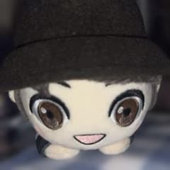 TinyTAN Jung Kook 국 봉제 인형 마스코트
