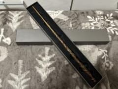 Harry Potter Hermione Granger Wandのサムネイル