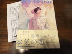 ホワイトライアー　芹澤知のサムネイル