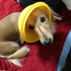 ミカ様専用のサムネイル