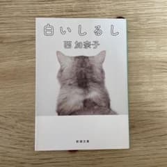 白いしるしのサムネイル