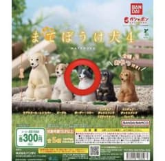 まてぼうけ犬4 ボーダーコリーのサムネイル
