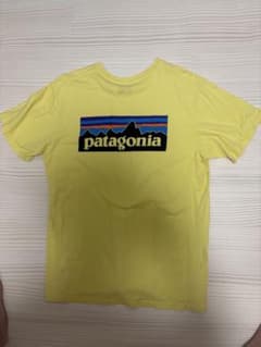 patagonia パタゴニア Tシャツ Lのサムネイル