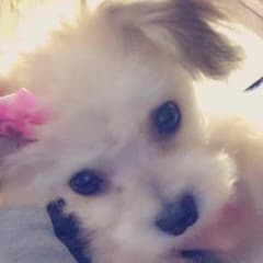 ko-dai❤️rieさま専用のサムネイル