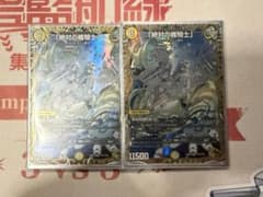 絶対の盾騎士 金トレジャー 2枚 - メルカリ