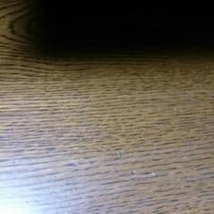 まめたさん専用のサムネイル