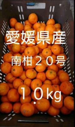 愛媛県産 無農薬みかん(南柑20号)１０kgのサムネイル