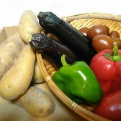 農家の畑の初秋野菜☆無農薬のサムネイル
