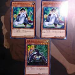 マスマティシャンとタートルのサムネイル