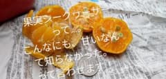 沖縄県産 朝採れ 果実シークヮーサー2kgのサムネイル