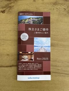 西武ホールディングス 株主優待500株以上 2026年5月31日まで有効