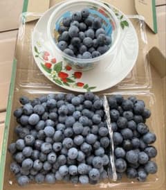完熟ブルーベリー 中大粒 700g ブライトウェル　ラヒ　メンデイトのサムネイル