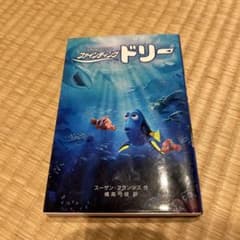 파인딩 돌리